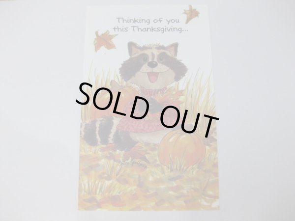 画像1: サンクスギビング　あらいぐま (1)