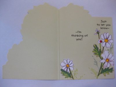 画像1: フレンドシップ カード スージー白い花